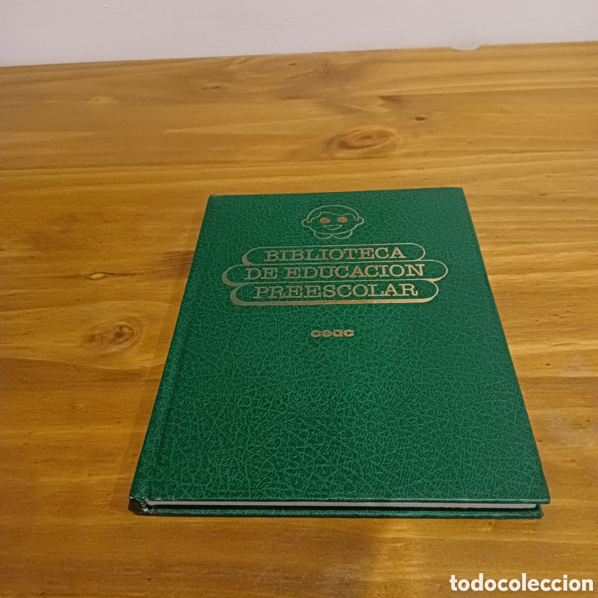 Enciclopedias de segunda mano: Centros de inter&eacute;s pl&aacute;stica - Foto 1