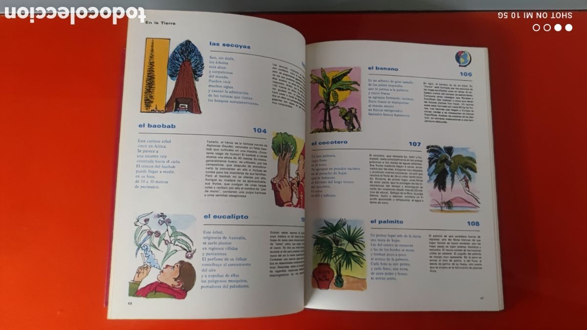 Enciclopedias de segunda mano: &rdquo;ENCICLOPEDIA BASICA&rdquo;- DIME QU&Eacute; ES?-PRIMERA EDICION 1969 - Foto 7