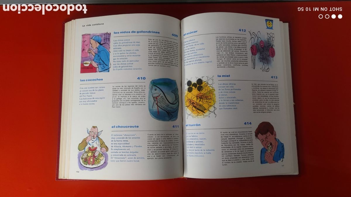 Enciclopedias de segunda mano: &rdquo;ENCICLOPEDIA BASICA&rdquo;- DIME QU&Eacute; ES?-PRIMERA EDICION 1969 - Foto 10