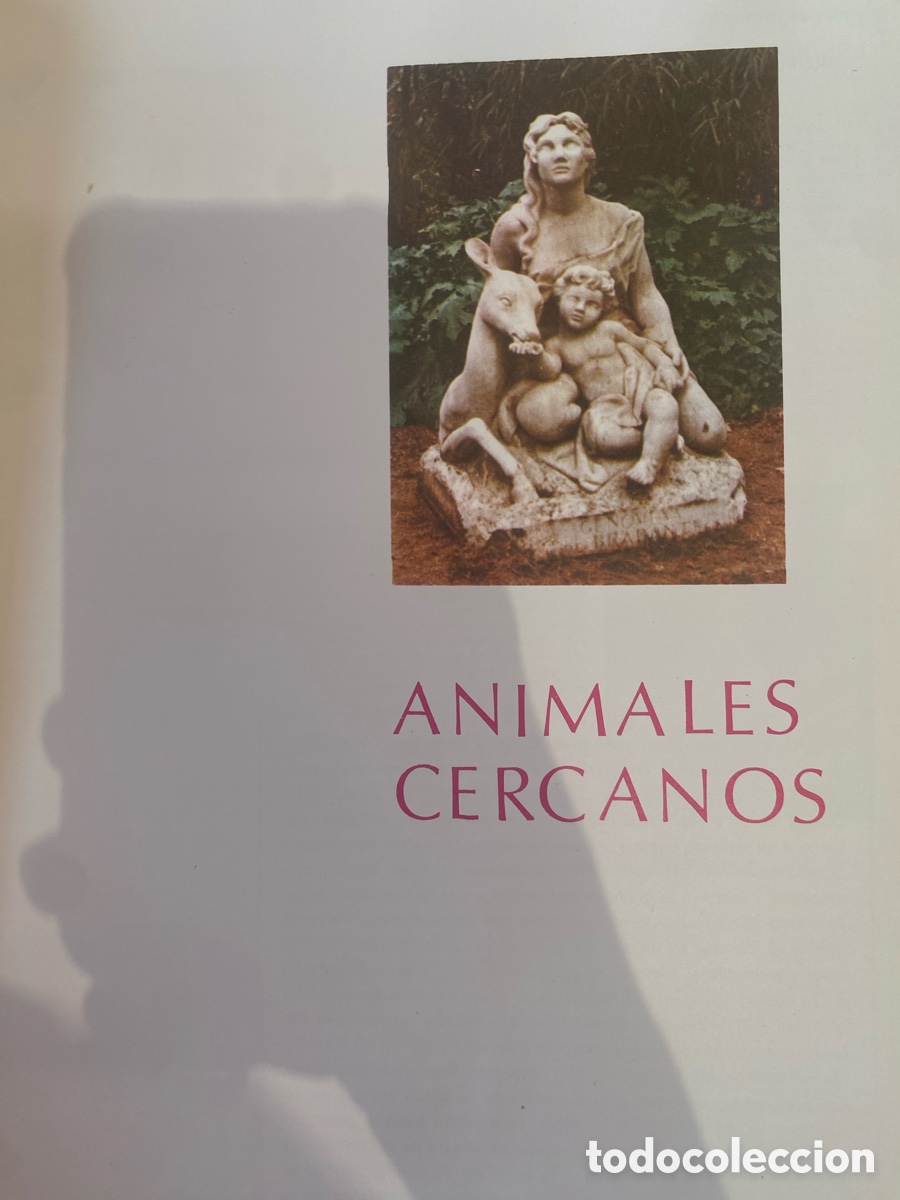 Enciclopedias de segunda mano: Enciclopedia fundamental - Foto 14