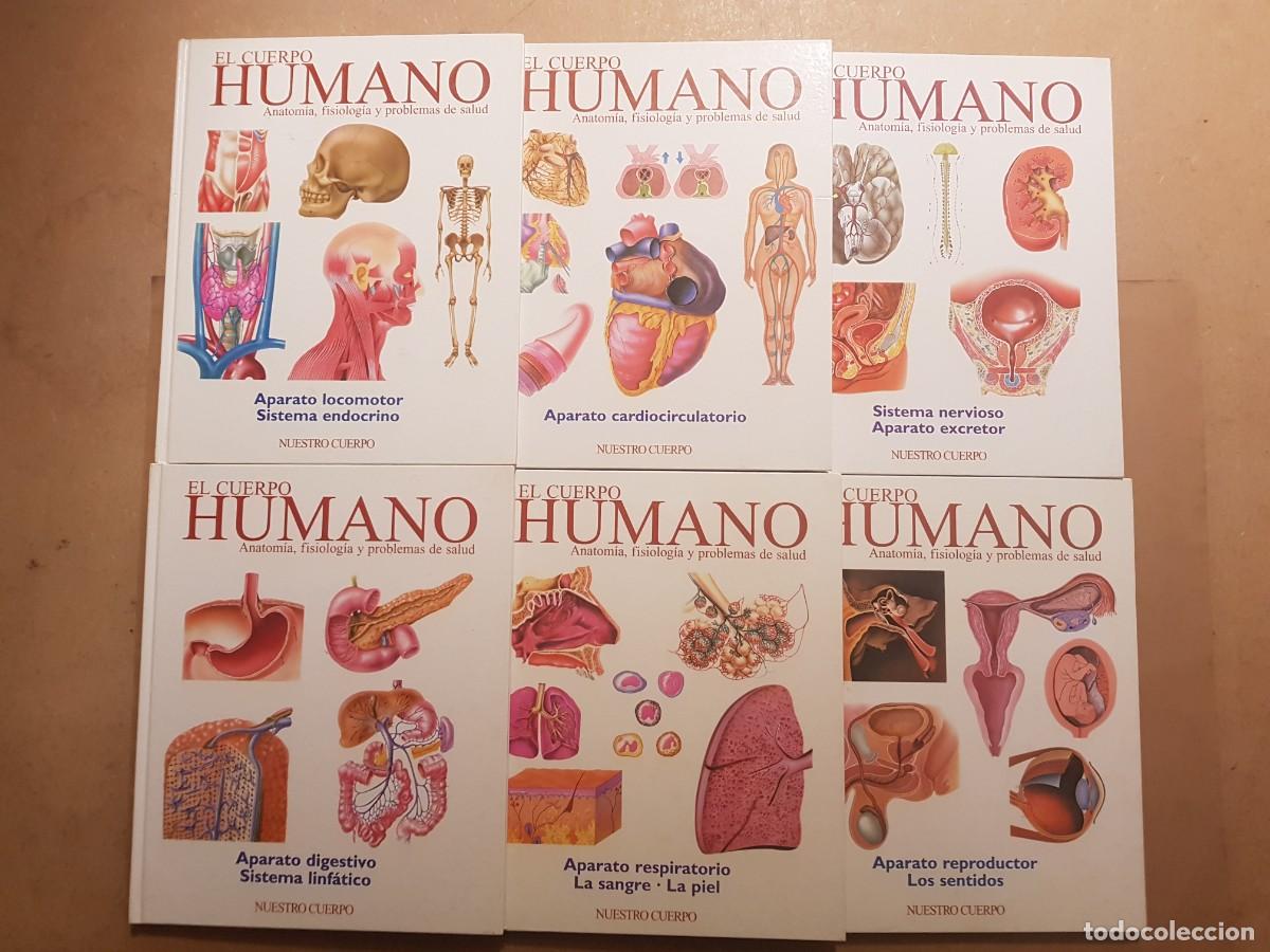 Enciclopedias de segunda mano: EL CUERPO HUMANO - ANATOM&Iacute;A-FISIOLOG&Iacute;A Y PROBLEMAS DE SALUD-6 TOMOS-INSTITUTO DE MONTSA ED. - 1999