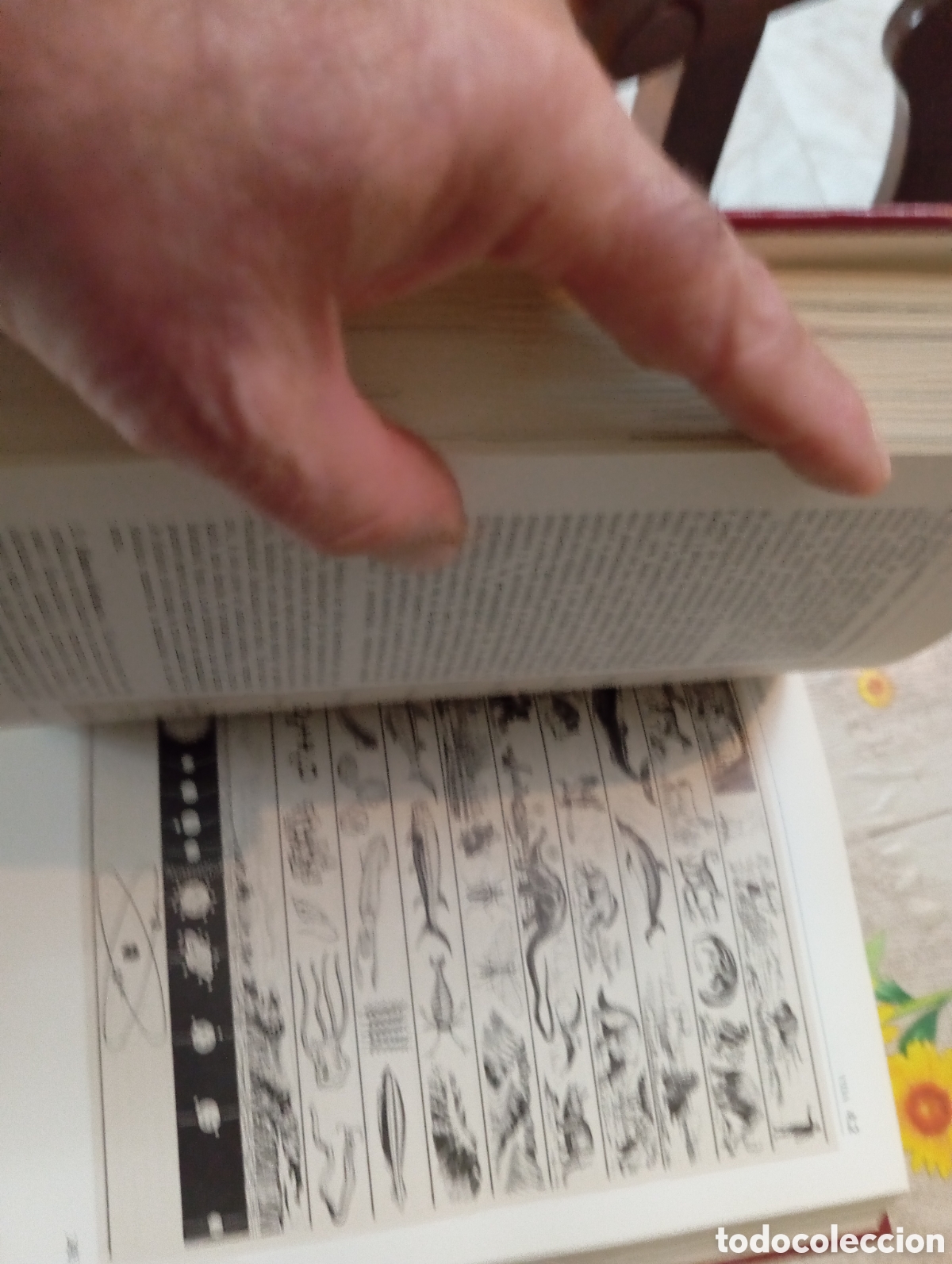 Enciclopedias de segunda mano: ENCICLOPEDIA ACTA 2000 VOLUMEN 9 - Foto 4