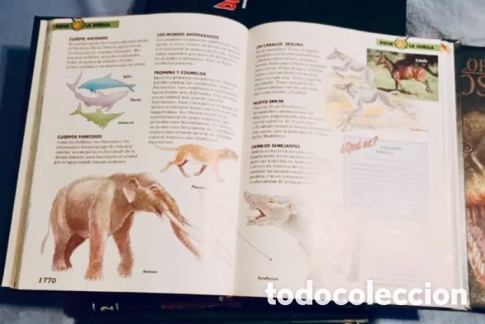 Enciclopedias de segunda mano: ENCICLOPEDIA DINOSAURIOS. 8 TOMOS. - Foto 2
