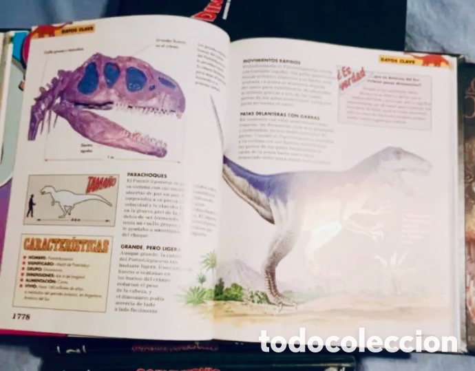Enciclopedias de segunda mano: ENCICLOPEDIA DINOSAURIOS. 8 TOMOS. - Foto 3