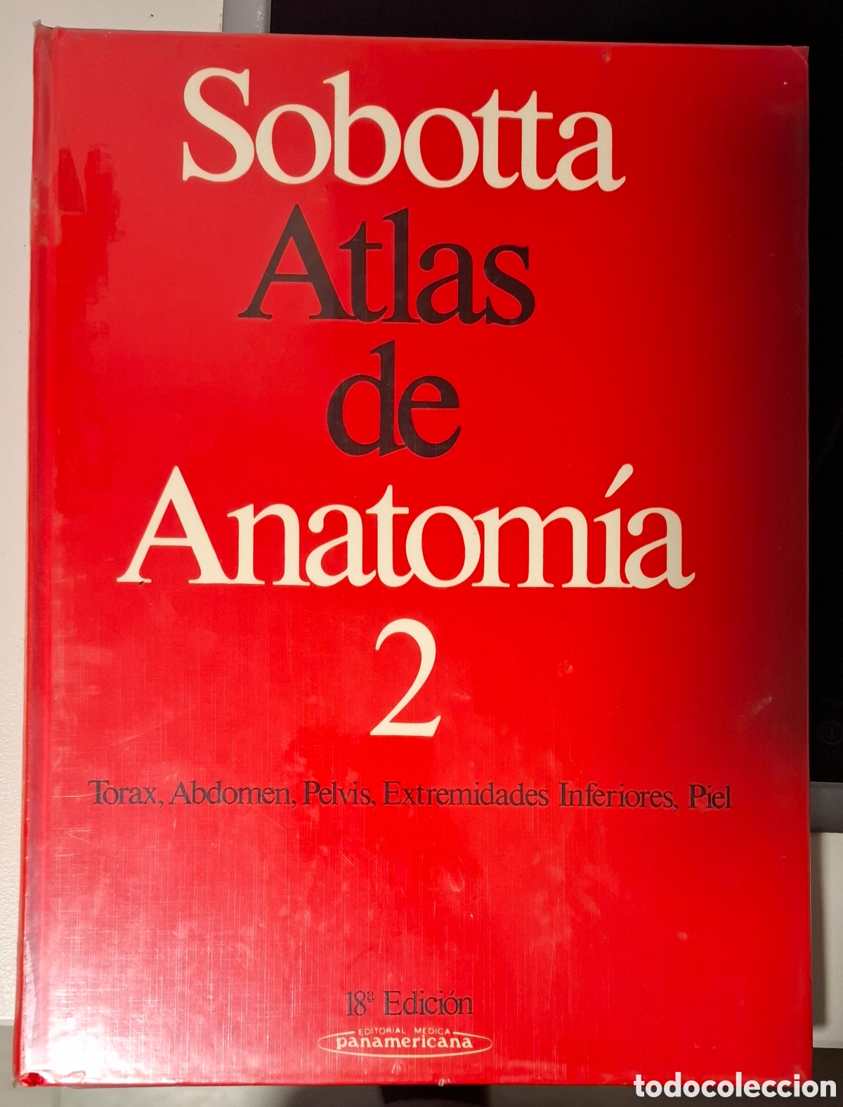 Enciclopedias de segunda mano: 2 Atlas Sobotta de anatom&iacute;a - Foto 2