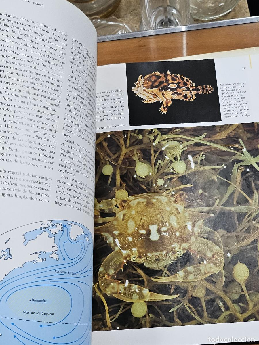 Enciclopedias de segunda mano: libro de fenomenos naturales - Foto 6