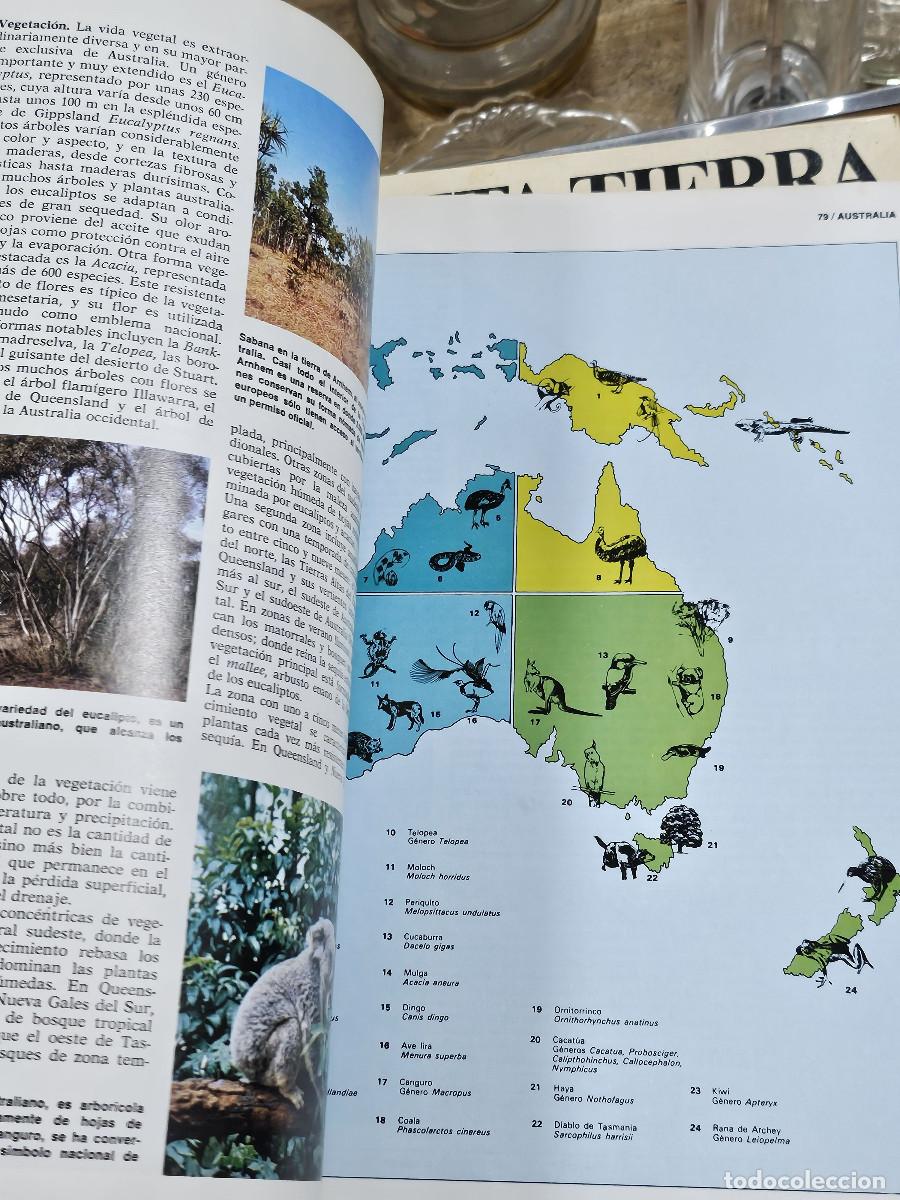 Enciclopedias de segunda mano: 3 libros del planeta en la tierra - Foto 12