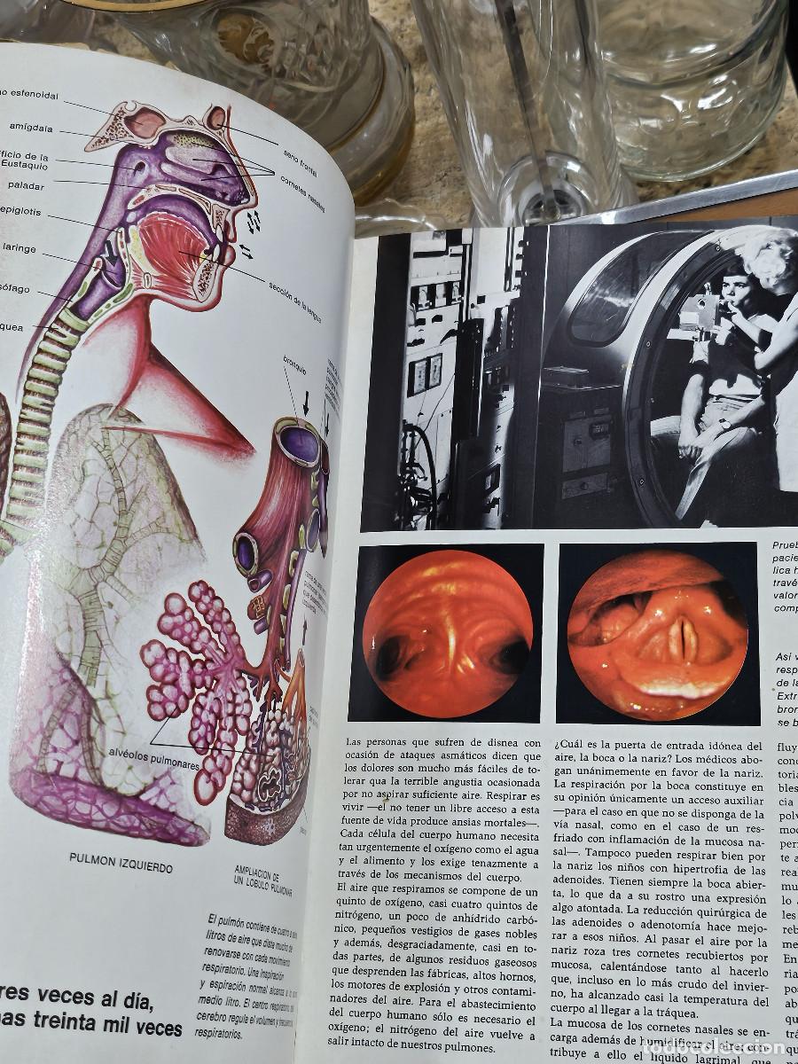 Enciclopedias de segunda mano: 2 liobros del hombre y la vida - Foto 13