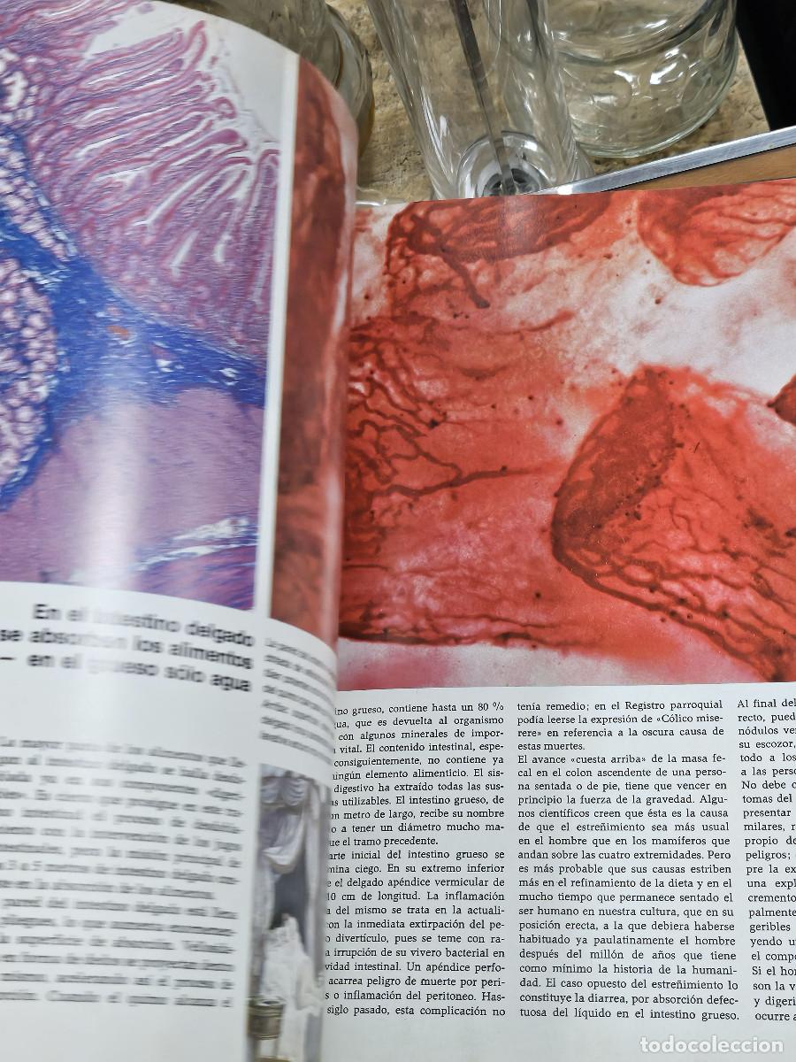Enciclopedias de segunda mano: 2 liobros del hombre y la vida - Foto 14
