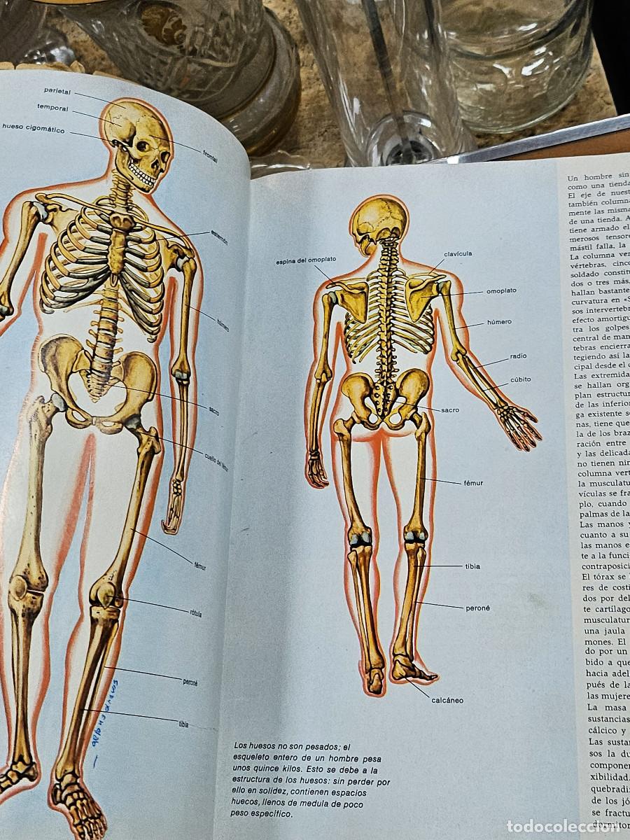 Enciclopedias de segunda mano: 2 liobros del hombre y la vida - Foto 15