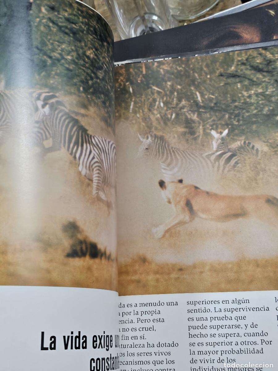 Enciclopedias de segunda mano: 2 liobros del hombre y la vida - Foto 21