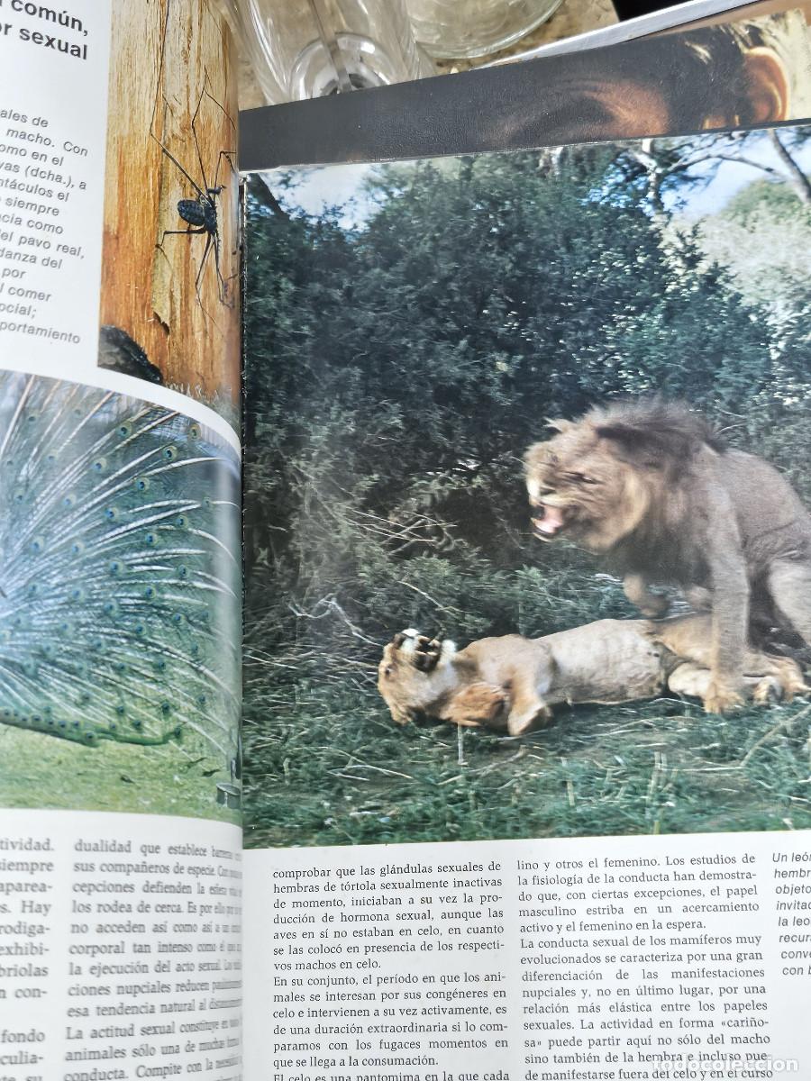 Enciclopedias de segunda mano: 2 liobros del hombre y la vida - Foto 22