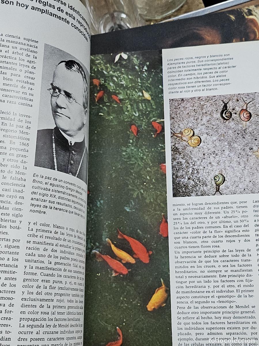 Enciclopedias de segunda mano: 2 liobros del hombre y la vida - Foto 23