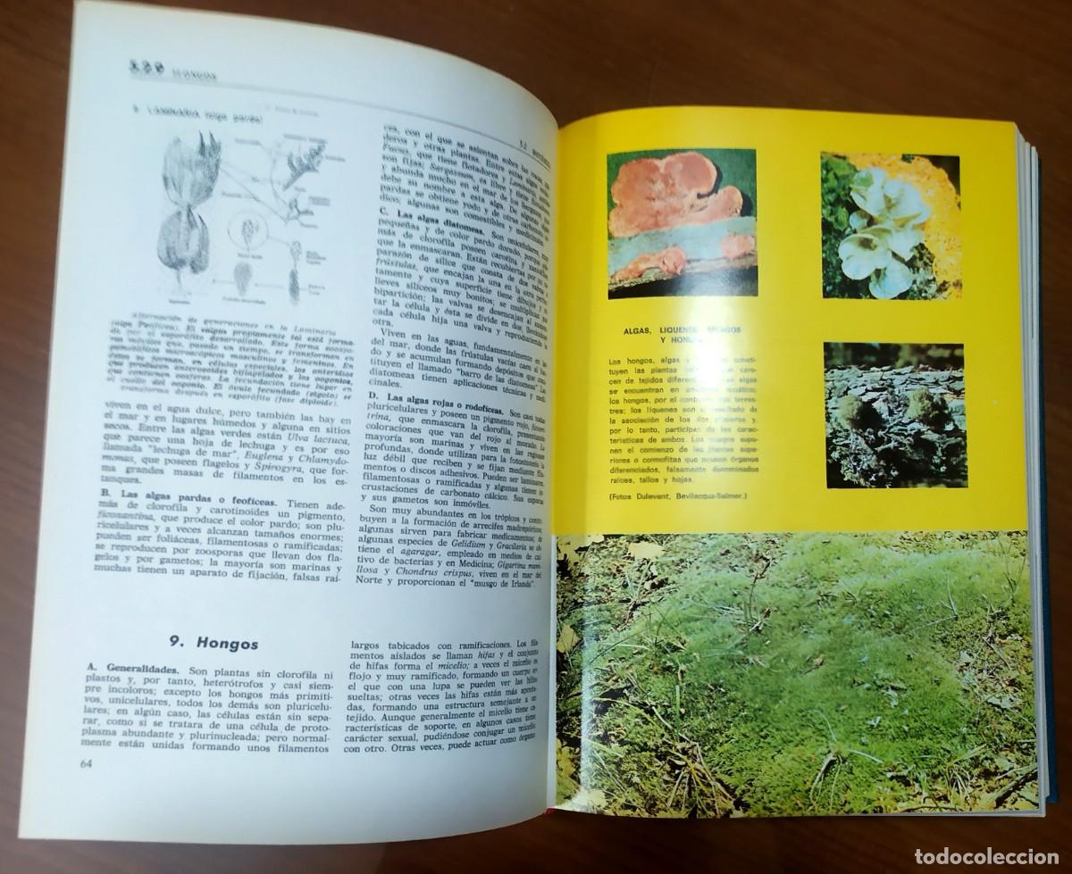 Enciclopedias de segunda mano: ENCICLOPEDIA COMPLETA ACTA 2000 - Foto 8