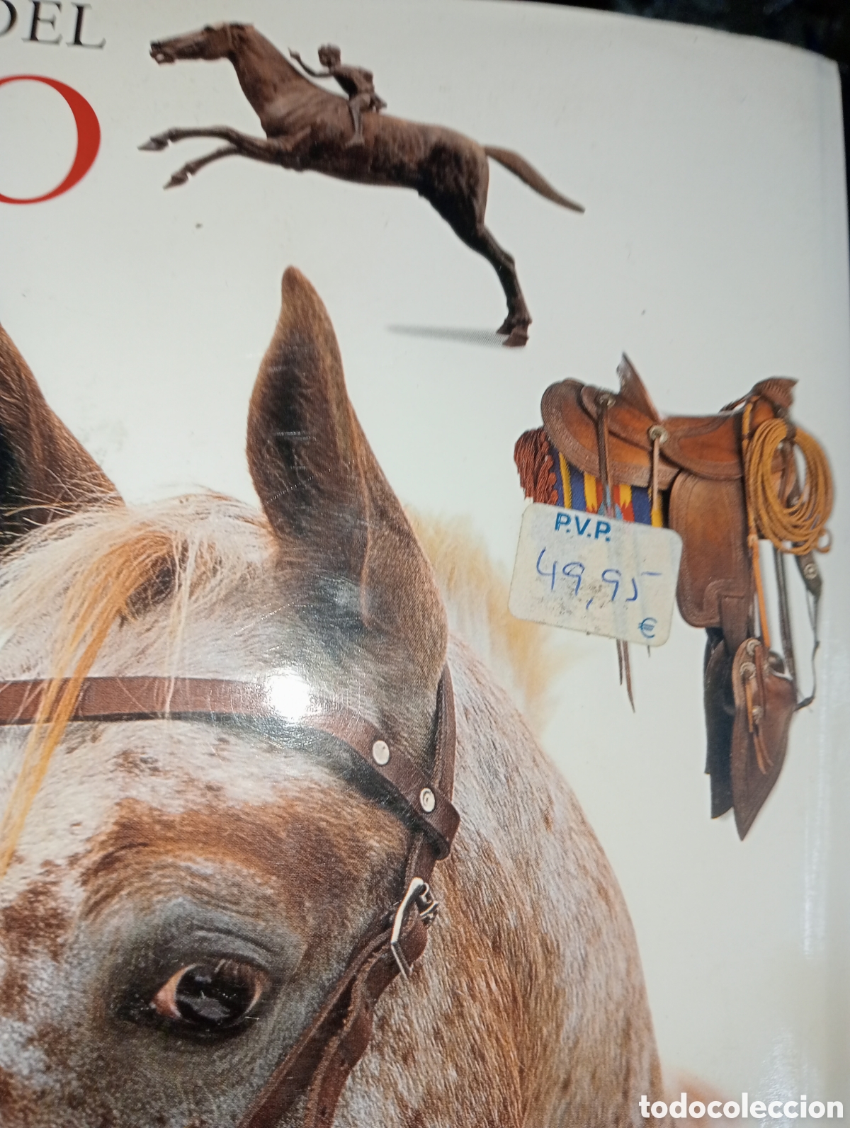 Enciclopedias de segunda mano: GRAN ENCICLOPEDIA DEL CABALLO - Foto 3