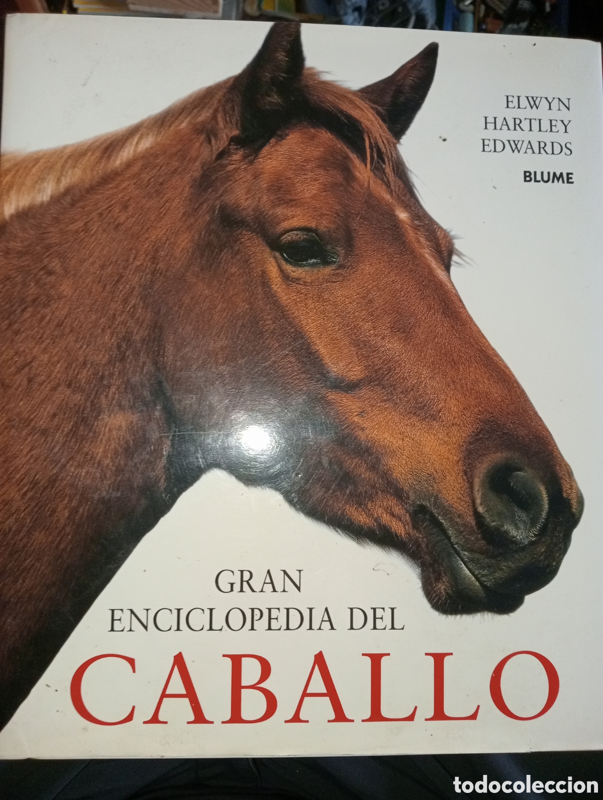 Enciclopedias de segunda mano: GRAN ENCICLOPEDIA DEL CABALLO - Foto 1