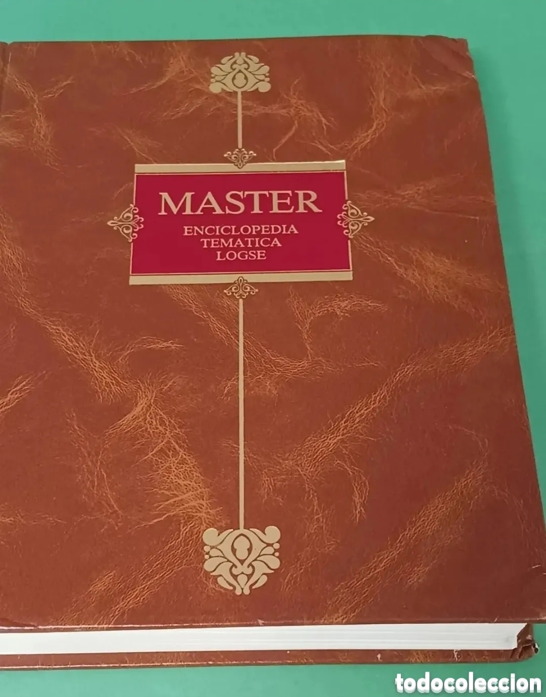 Enciclopedias de segunda mano: Master, enciclopedia tematica. Tomo 2 . Sociales.