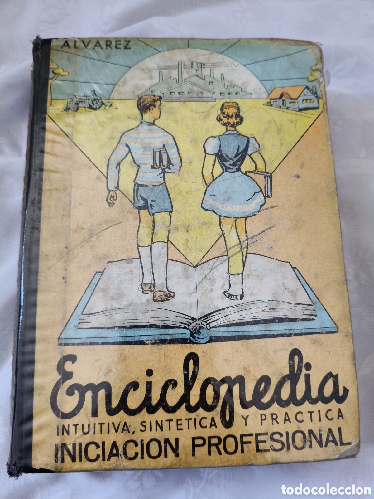 Enciclopedias de segunda mano: Enciclopedia Iniciaci&oacute;n Profesional