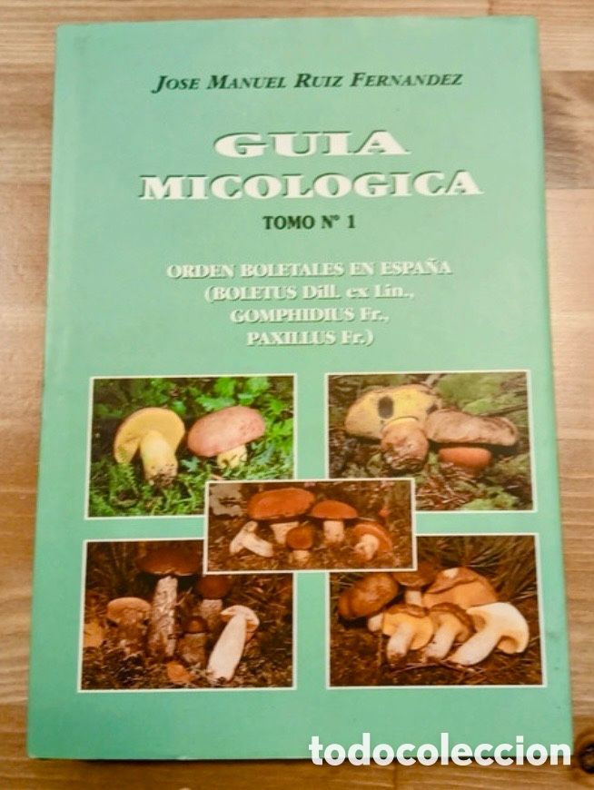 Enciclopedias de segunda mano: GUIA MICOLOGICA TOMO N&deg; 1. JOSE MANUEL RUIZ FERNANDEZ.
