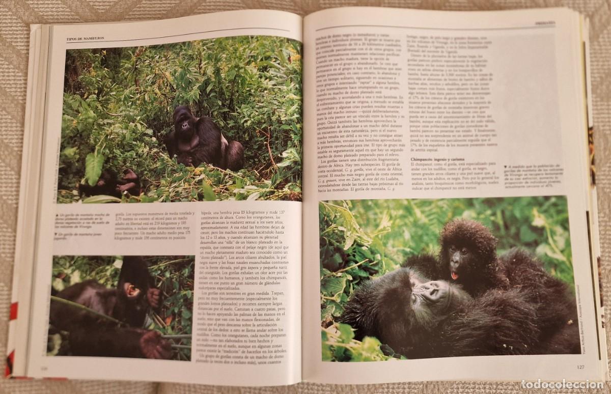 Enciclopedias de segunda mano: Enciclopedia de los animales - Foto 2