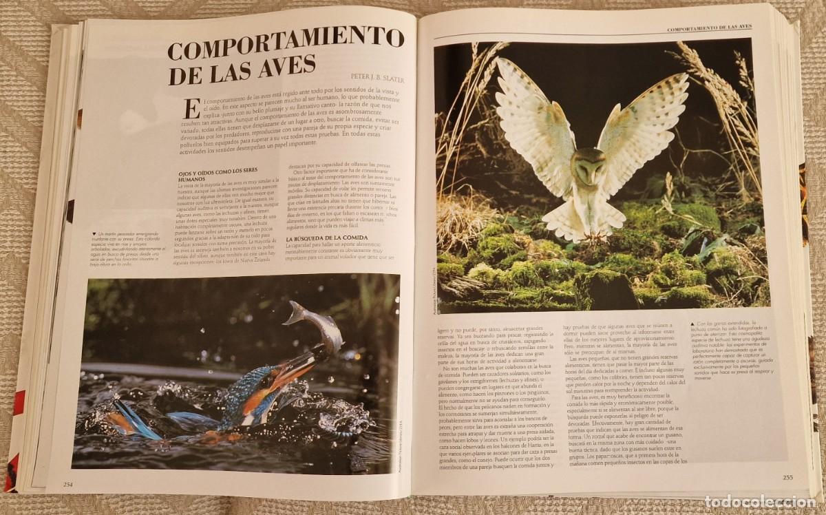 Enciclopedias de segunda mano: Enciclopedia de los animales - Foto 3