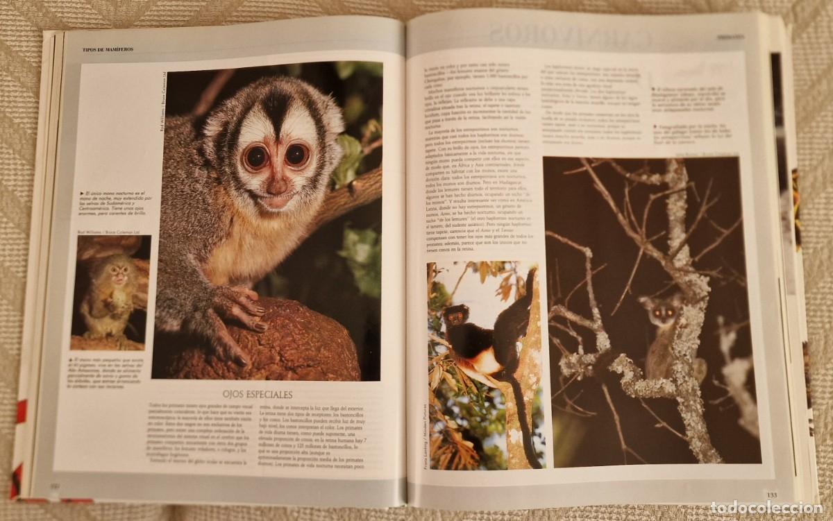 Enciclopedias de segunda mano: Enciclopedia de los animales - Foto 4