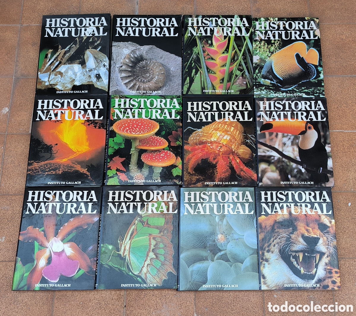 Enciclopedias de segunda mano: Colecci&oacute;n Historia Natural 1989