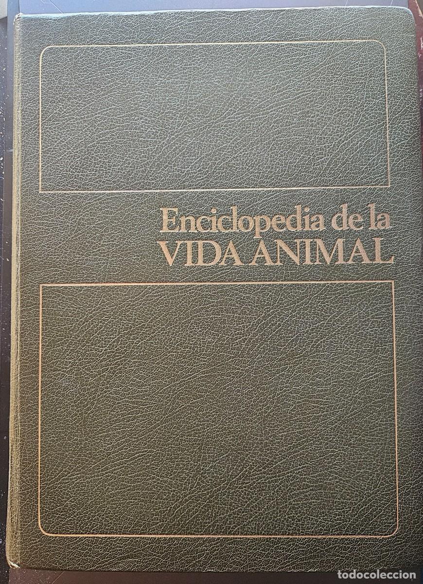 Enciclopedias de segunda mano: Enciclopedia de la Vida Animal - Tomo V 5 - Oso - rat&oacute;n - Bruguera 1976