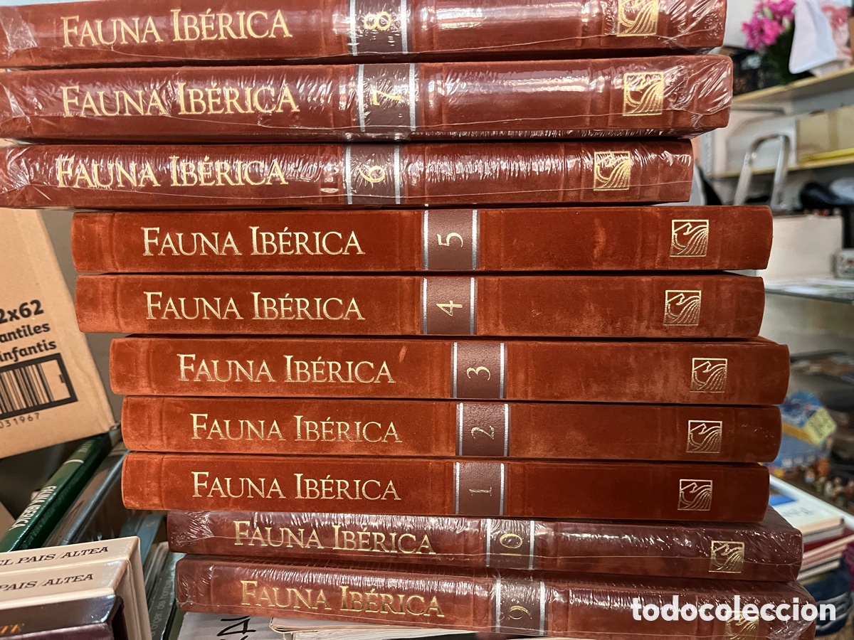 Enciclopedias de segunda mano: FAUNA IB&Eacute;RICA . EL HOMBRE Y LA TIERRA. F&Eacute;LIX RODR&Iacute;GUEZ DE LA FUENTE. SALVAT. COMPLETA 10 TOMOS.