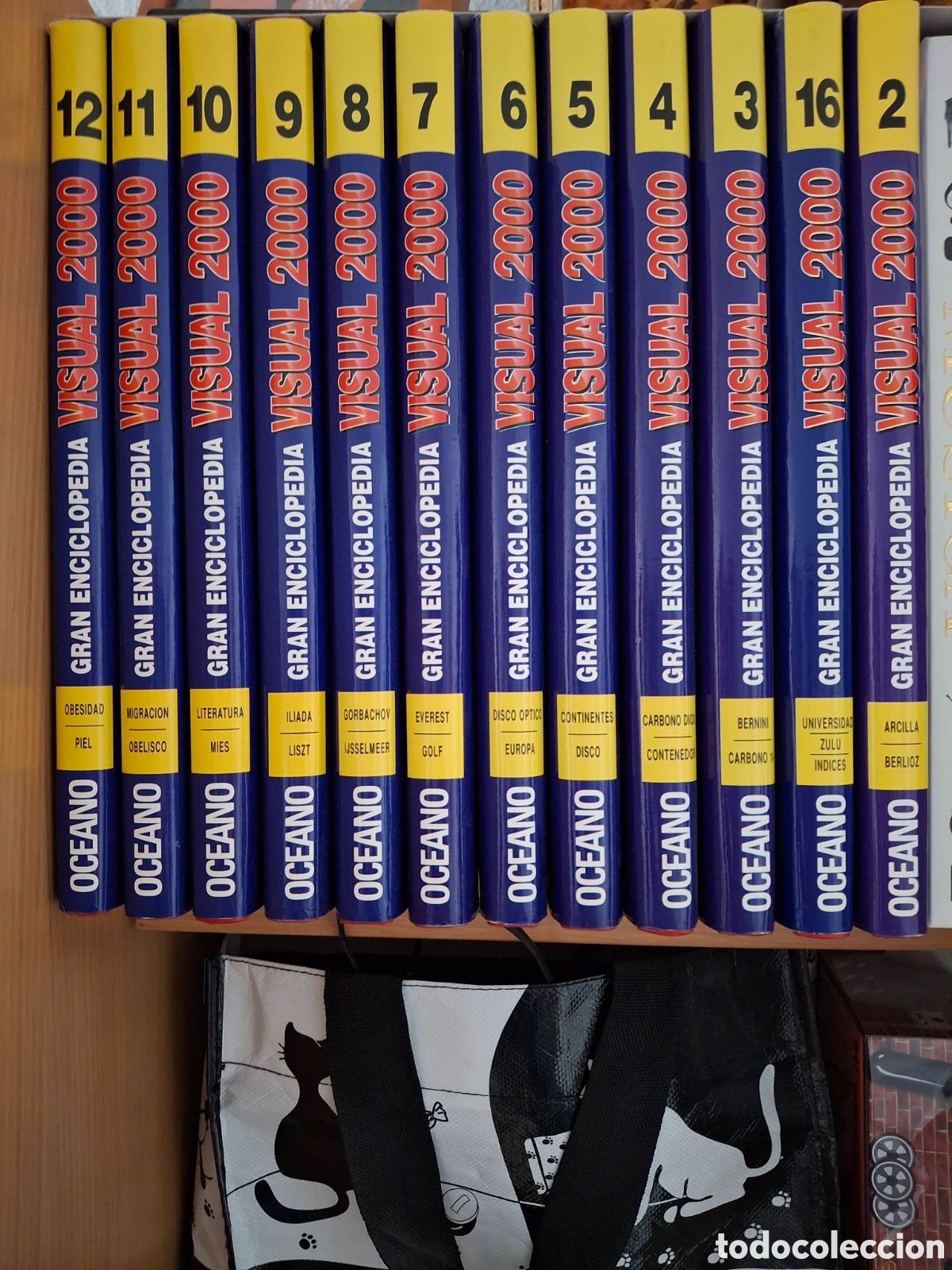 Enciclopedias de segunda mano: Gran Enciclopedia VISUAL 2000