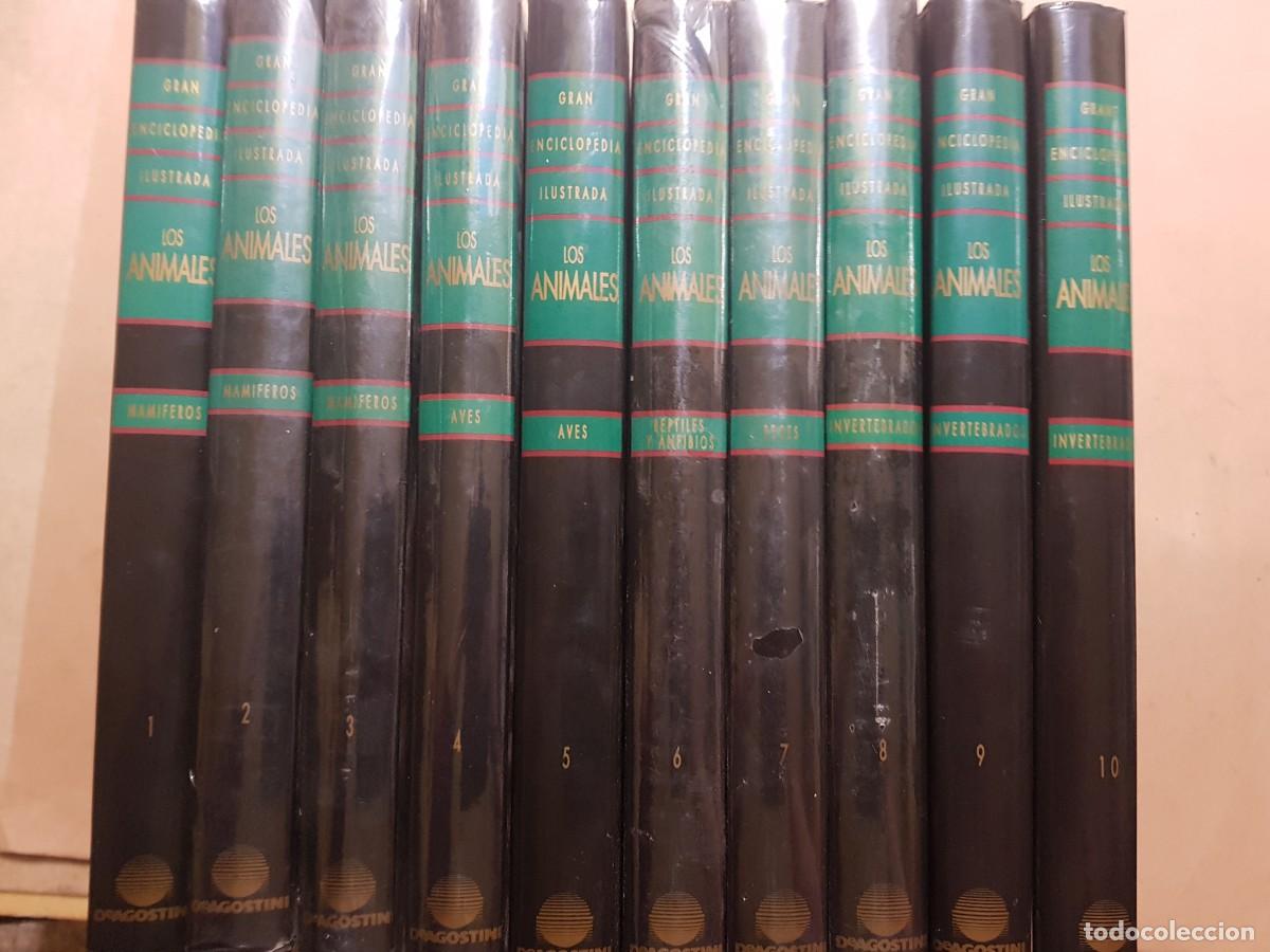 Second hand encyclopedias: GRAN ENCICLOPEDIA LOS ANIMALES(ILUSTRADA)-10 TOMOS-DE AGOSTINI ED.-A&Ntilde;O 1984 -OBRA COMPLETA-