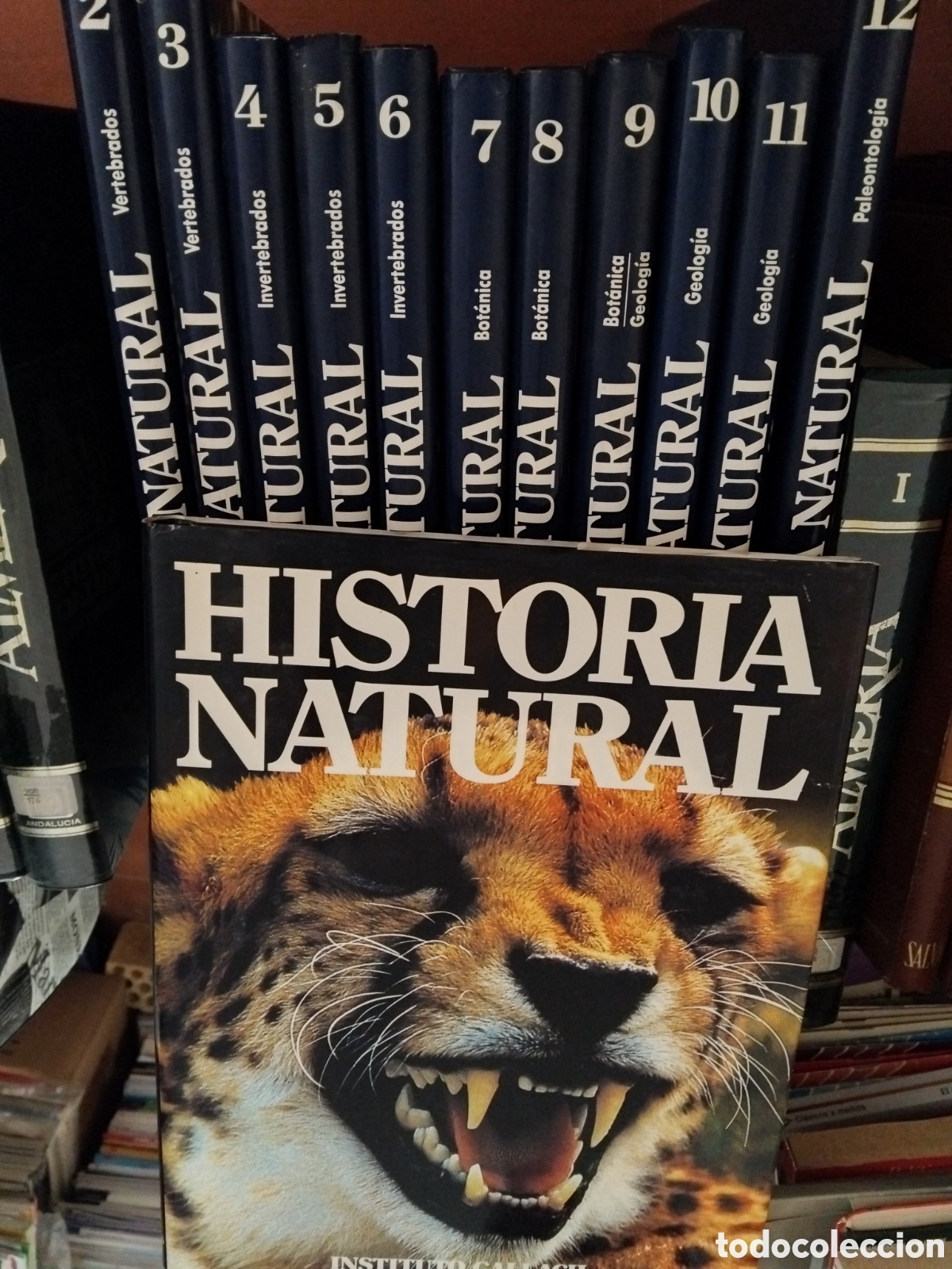 Enciclopedias de segunda mano: HISTORIA NATURAL. INSTITUTO GALLACH. 12 TOMOS. 1989. (ST/R/
