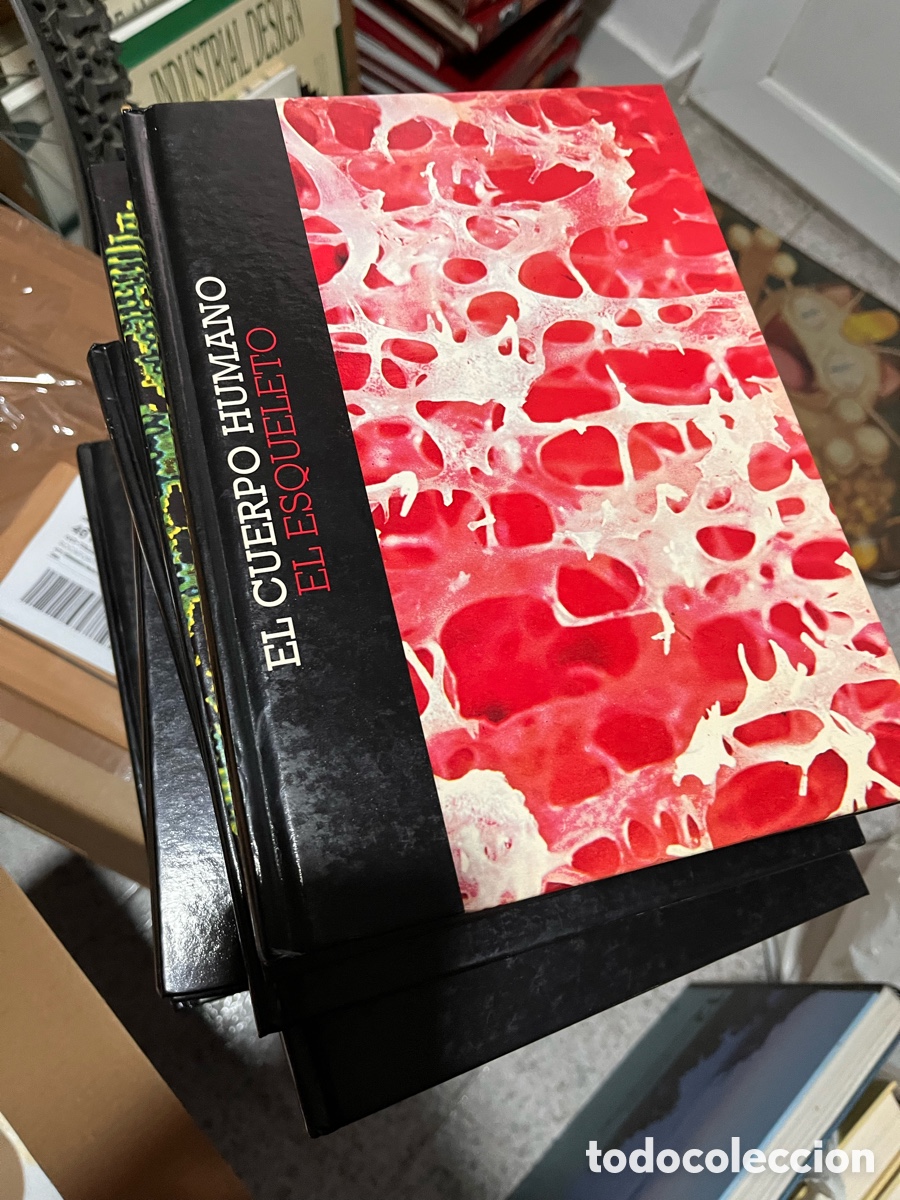 Enciclopedias de segunda mano: EL CUERPO HUMANO (15 TOMOS, COMPLETA) - CLUB INTERNACIONAL DEL LIBRO, 1992