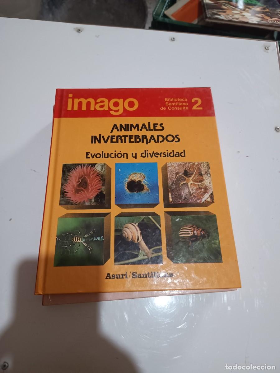 Enciclopedias de segunda mano: IMAGO BIBLIOTECA DE CONSULTA SANTILLAN.