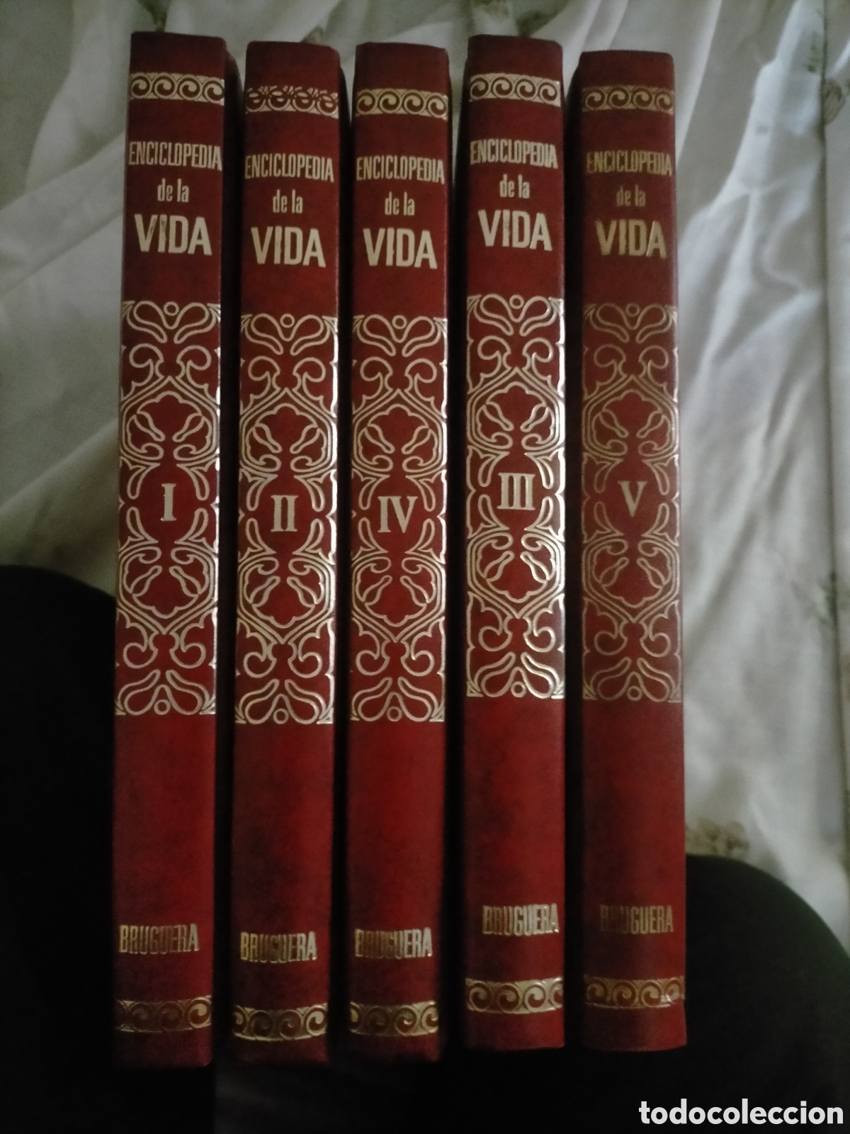 Enciclopedias de segunda mano: Enciclopedia de la vida - Foto 1