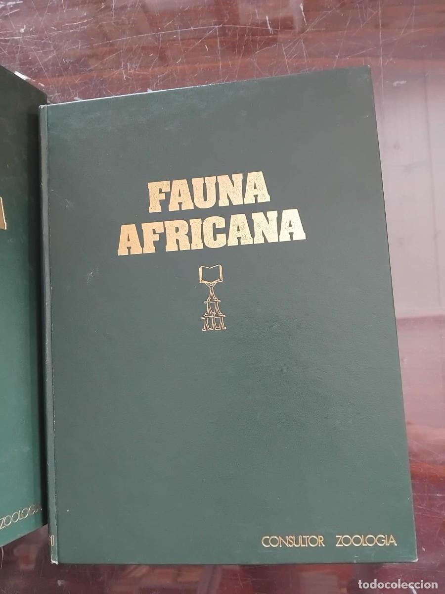 Enciclopedias de segunda mano: AREA 5 FAUNA. ANIMALES EN: 1. &Aacute;FRICANA/ 2. AMERICANA/ 3. EUROPEA / 4. ASIATICA/5. AUSTRALIANA(.B/19