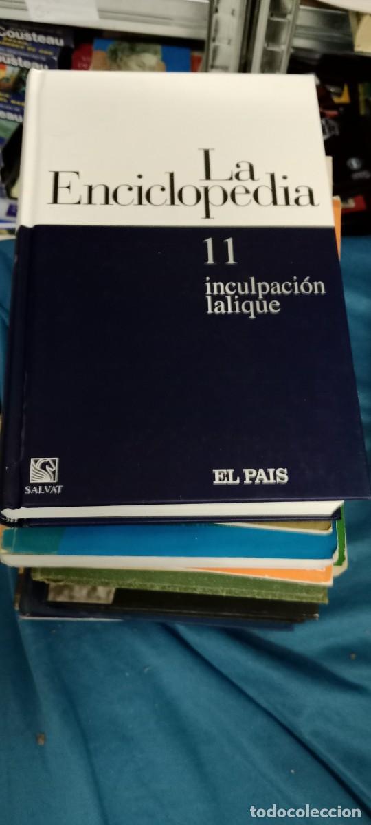 Enciclopedias de segunda mano: LA ENCICLOPEDIA SALVAT UN TOMO EL DE FOTO LIBRO GG-GON