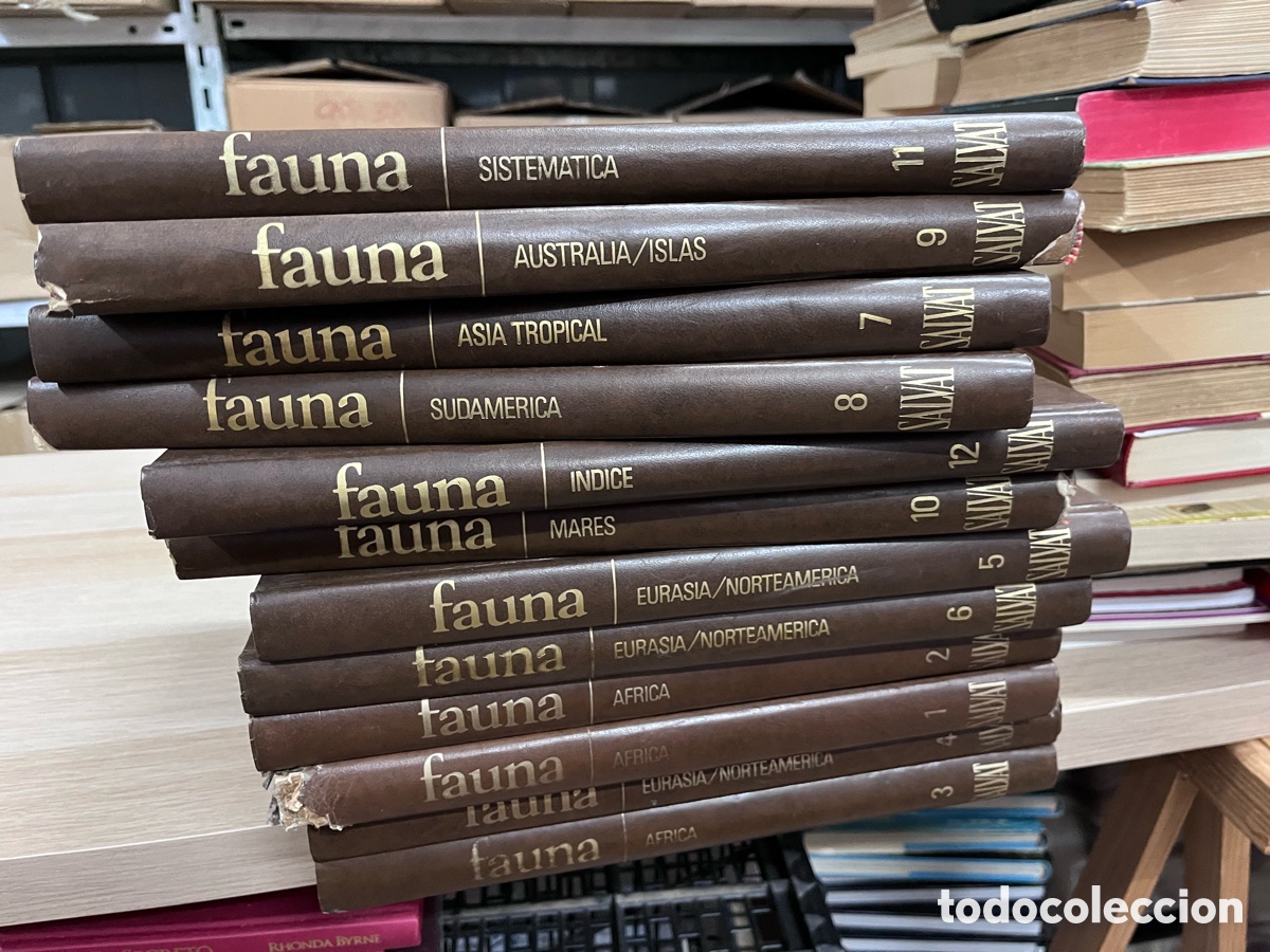 Enciclopedias de segunda mano: Fauna. 12 tomos. Completa. Felix Rodr&iacute;guez de la Fuente. Salvar