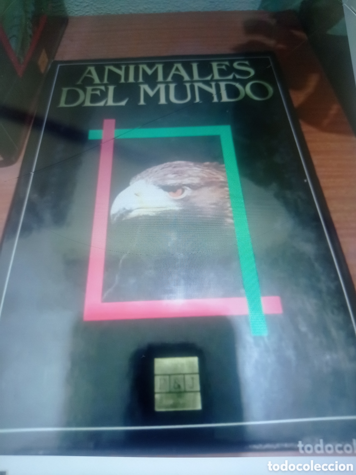 Enciclopedias de segunda mano: Enciclopedia Animales del mundo