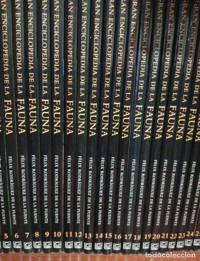 Enciclopedias de segunda mano: GRAN ENCICLOPEDIA DE LA FAUNA FELIX RODRIGUEZ DE LA FUENTE