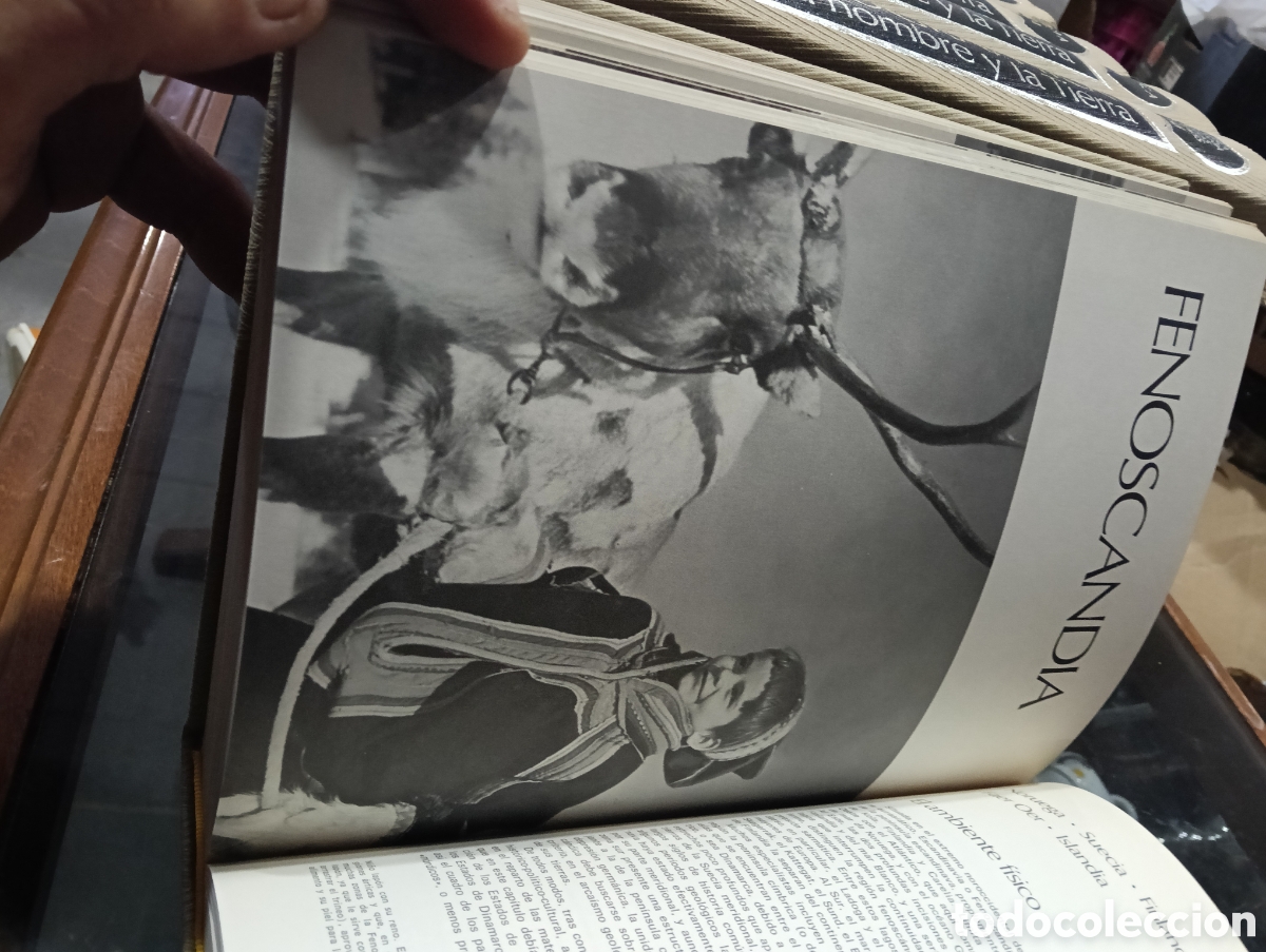 Enciclopedias de segunda mano: Enciclopedia ilustrada Geographica - Foto 12