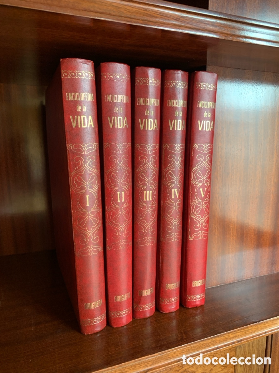 Enciclopedias de segunda mano: Colecci&oacute;n enciclopedia de la vida