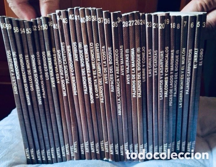 Enciclopedias de segunda mano: 35 cuadernos de campo de F&eacute;lix Rodr&iacute;guez de la Fuente nuevos.
