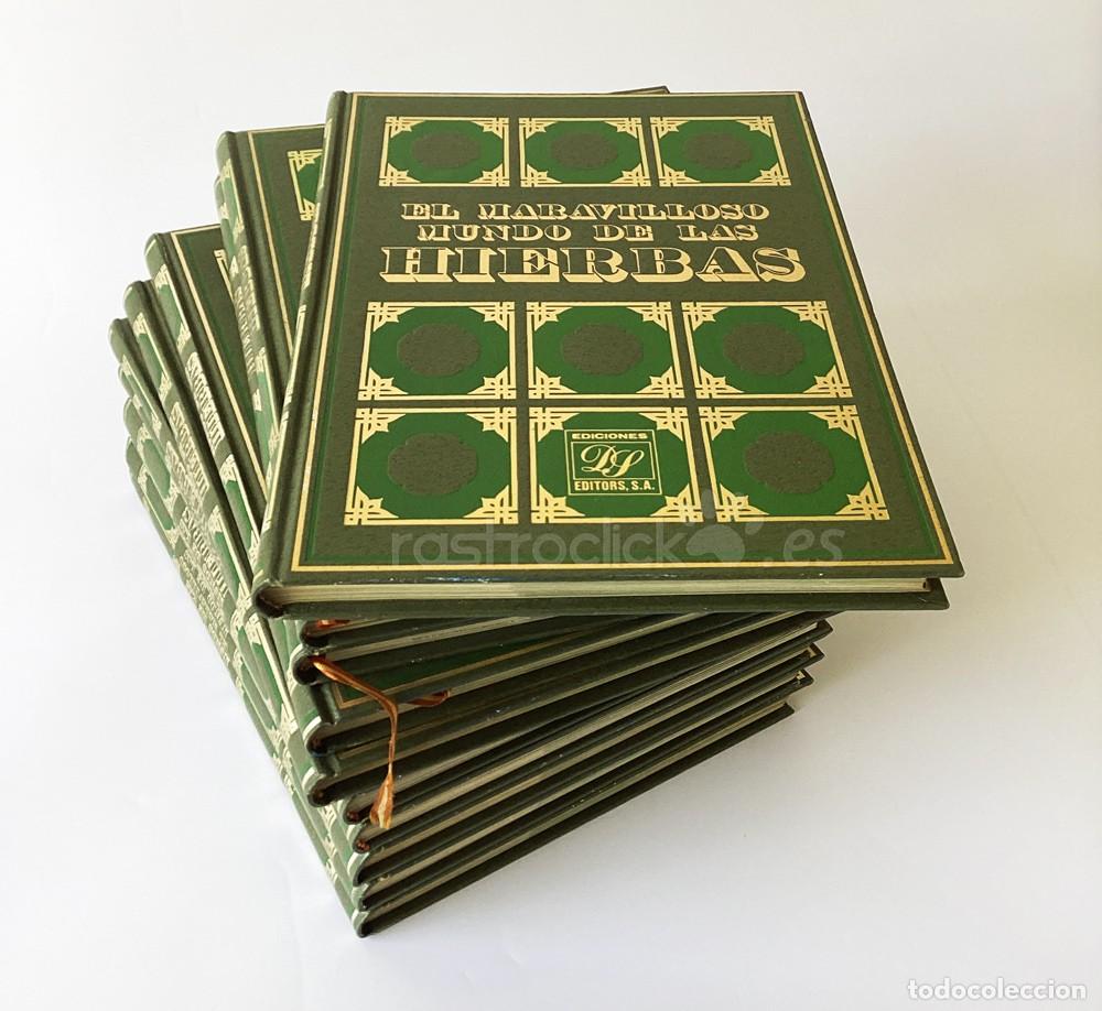 Enciclopedias de segunda mano: Enciclopedia El Maravilloso Mundo de las Hierbas &ndash; Ediciones Dalmau Socias 1982