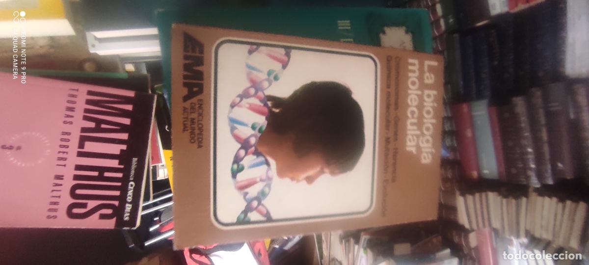 Enciclopedias de segunda mano: La biologia molecular (coleccion Enciclopedia del mundo actual 11) - Favrod, Charles-Henri
