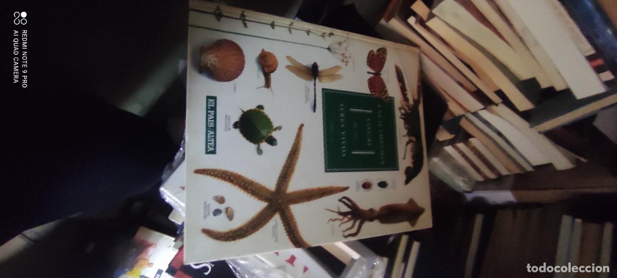 Enciclopedias de segunda mano: ENCICLOPEDIA VISUAL DE LOS SERES VIVOS TOMO III - EL PA&Iacute;S / ALTEA 1993