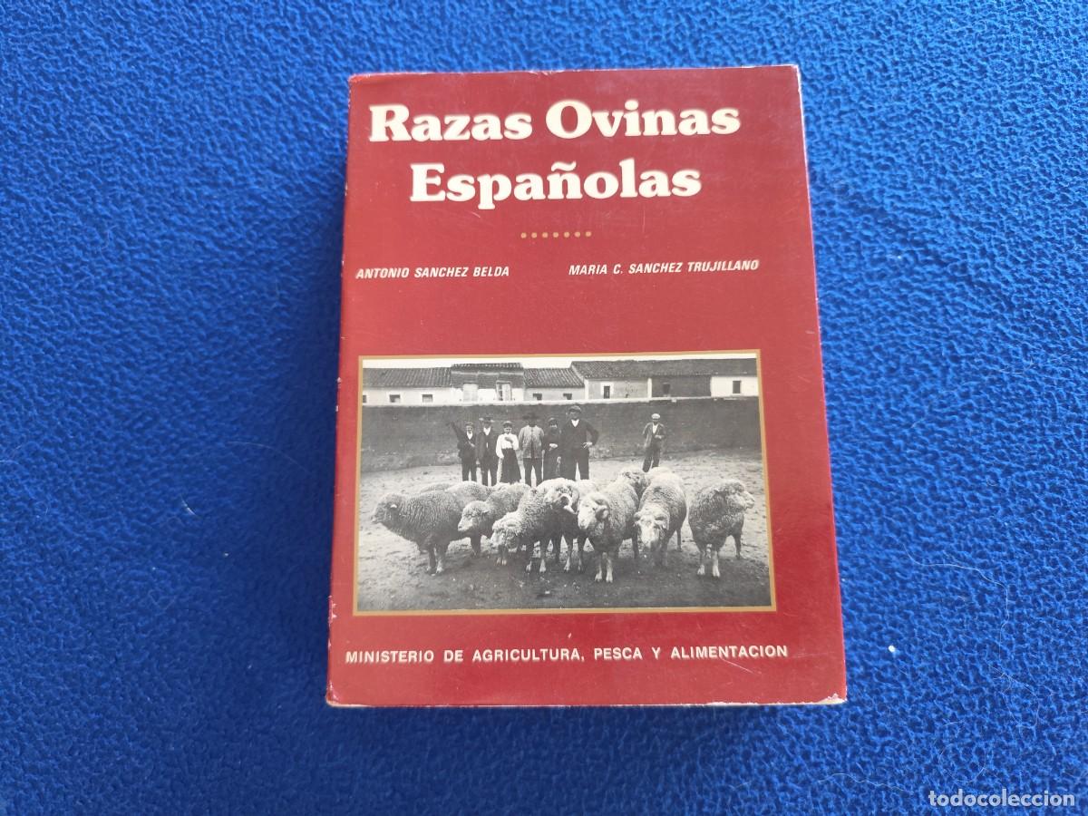 Enciclopedias de segunda mano: Razas Ovinas Epa&ntilde;olas A.S&aacute;nchez Belda y Mar&iacute;a C.S&aacute;nchez Trujillano