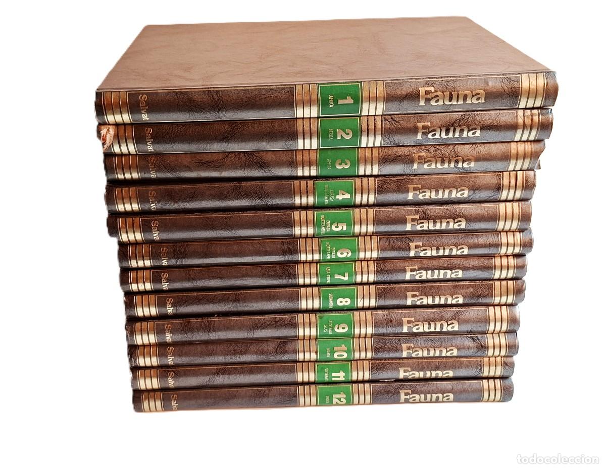 Enciclopedias de segunda mano: ENCICLOPEDIA FAUNA FELIX RODRIGUEZ DE LA FUENTE (12 TOMOS)
