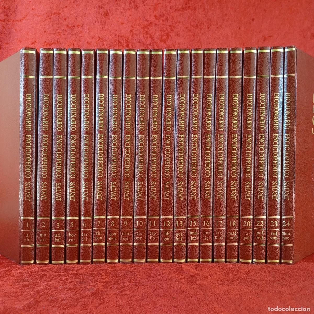 Enciclopedias de segunda mano: DICCIONARIO ENCICLOPEDICO SALVAT - 24 VOLUMENES - 1985 / 933