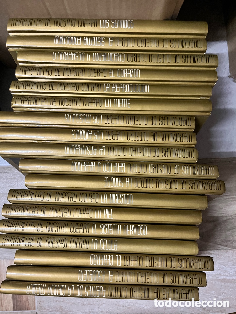 Enciclopedias de segunda mano: Maravillas de nuestro cuerpo. Completa. Club internacional del libro.